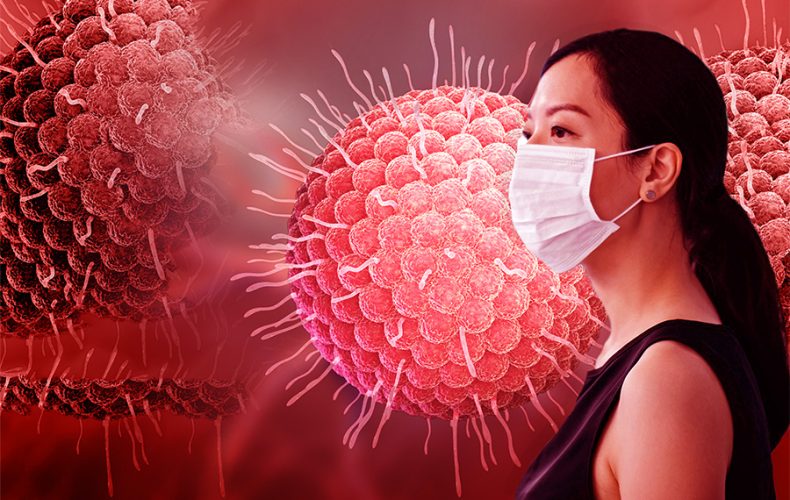 Domuz Gribi Nedir? – Domuz gribi Belirtileri Nelerdir? Domuz Gribi Nedir? – Domuz gribi Belirtileri Nelerdir?