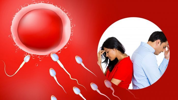 Erkeklerde kısırlık tedavisi | Doktor Yazıları - Uzmanın paylaşımları Erkeklerde kısırlık tedavisi | Doktor Yazıları - Uzmanın paylaşımları