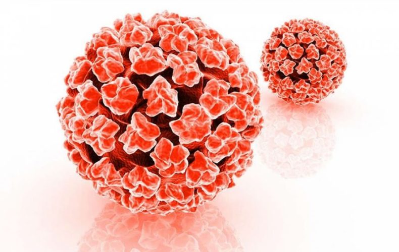 Hpv Virüsü Nedir? Nasıl Bulaşır? Hpv Virüsü Nedir? Nasıl Bulaşır?