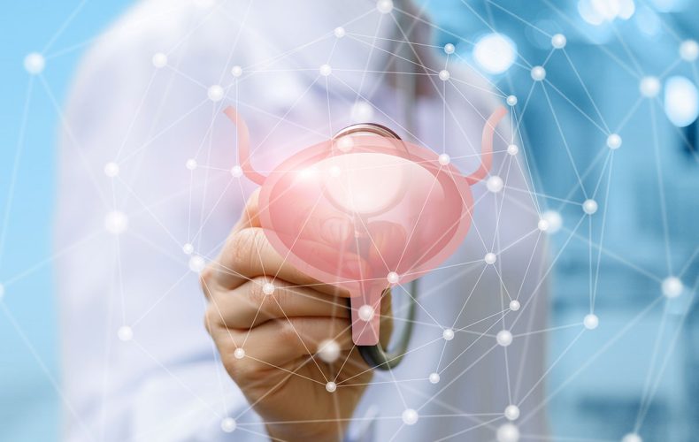 Holep Nedir? – Holep Avantajları Nelerdir? Holep Nedir? – Holep Avantajları Nelerdir?