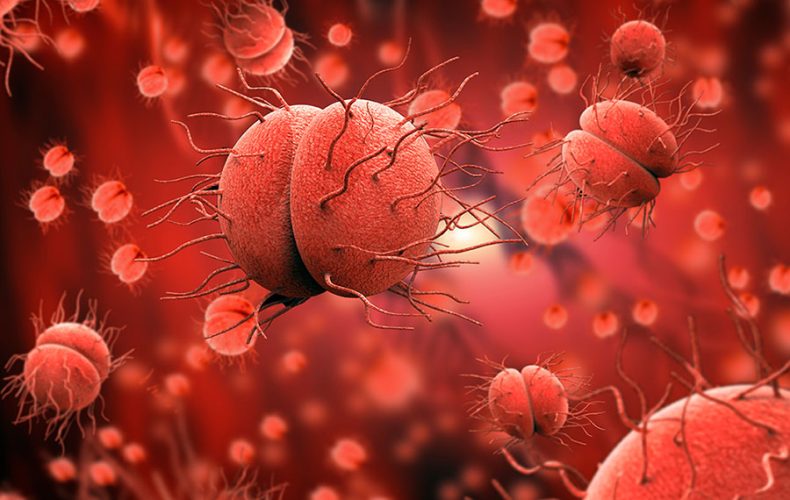 Menenjit Belirtileri, Tanı ve Tedavi Yöntemleri Menenjit Belirtileri, Tanı ve Tedavi Yöntemleri