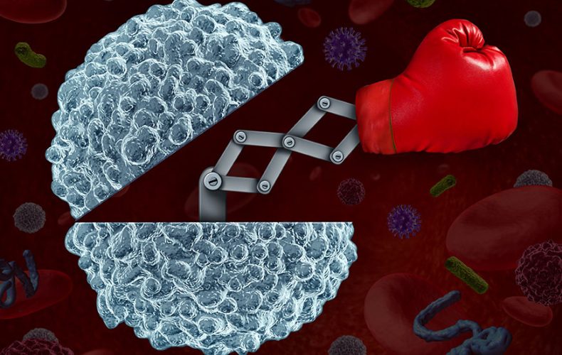 Otoimmün Hastalıklar Nelerdir? – Otoimmün Belirtileri ve Çeşitleri Otoimmün Hastalıklar Nelerdir? – Otoimmün Belirtileri ve Çeşitleri