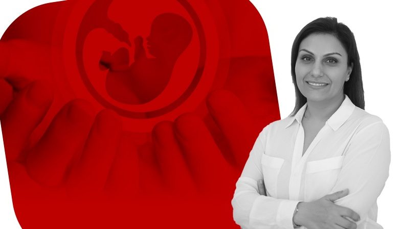 Tüp bebek tedavisinde rahim dinlendirme tekniği Tüp bebek tedavisinde rahim dinlendirme tekniği